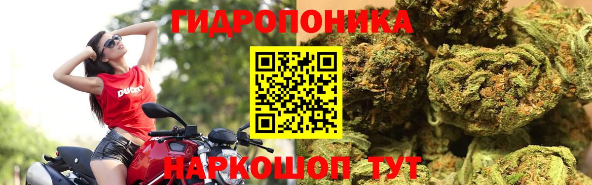 Шишки марихуана Ganja  Вход с VPN  Санкт-Петербург  Шишки марихуана индика 